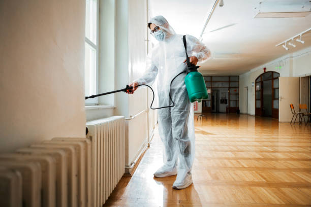 Best Pest Control Treatment  in Lakeport, CA