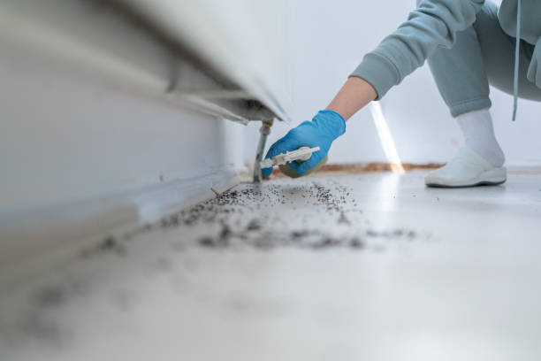 Best Best Pest Control Companies  in Lakeport, CA